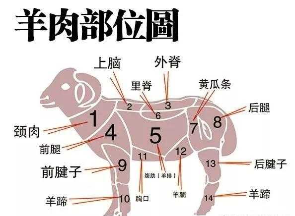 酱卤兔肉、驴肉、猪肘加工技术工艺，让你在家就能吃到美味