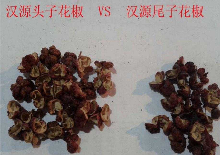 全国花椒的种类很多，学学怎么才能买到适合你的花椒吧！