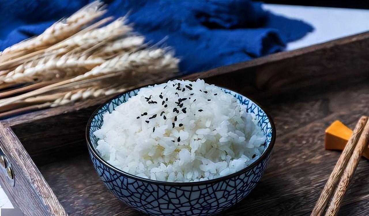 比特犬吃什么主食_血糖高主食要吃什么好_主食