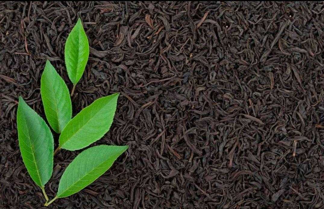 港式奶茶_港式丝袜奶茶的做法_来一杯港式奶茶微盘