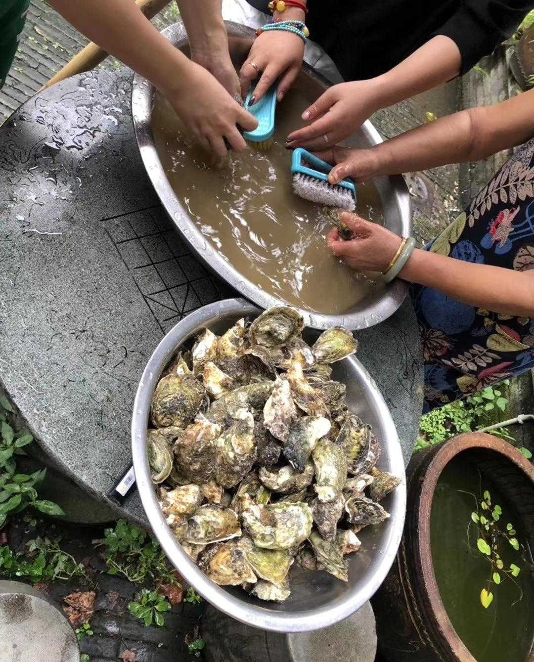 小媳妇在家做高压锅生蚝，实惠又好吃！超级简单又省钱，一看就会