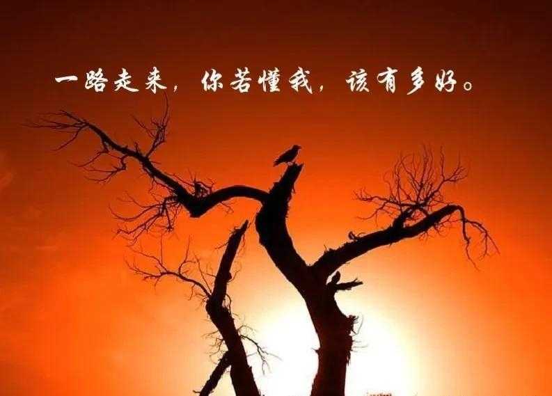 糖糕_阿胶糕用什么糖做好_做阿胶糕用什么糖