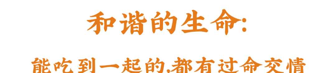 百度糯米网新都众寻烧烤众寻烧烤_百度烧烤是什么类型的烧烤_烧烤