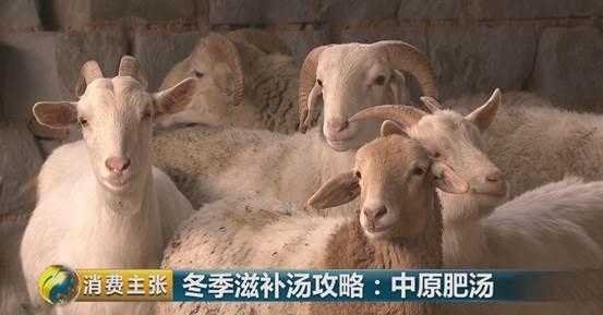 牛肉金针菇汤的做法_牛肉大骨汤_牛肉汤