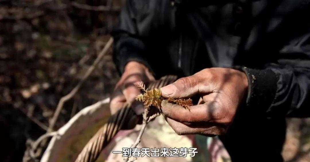 鱼豆腐_豆腐鱼_鮟鱇鱼炖豆腐