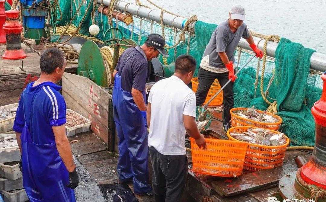 电饭锅海鲜焖面_海鲜墨鱼汁面_海鲜面