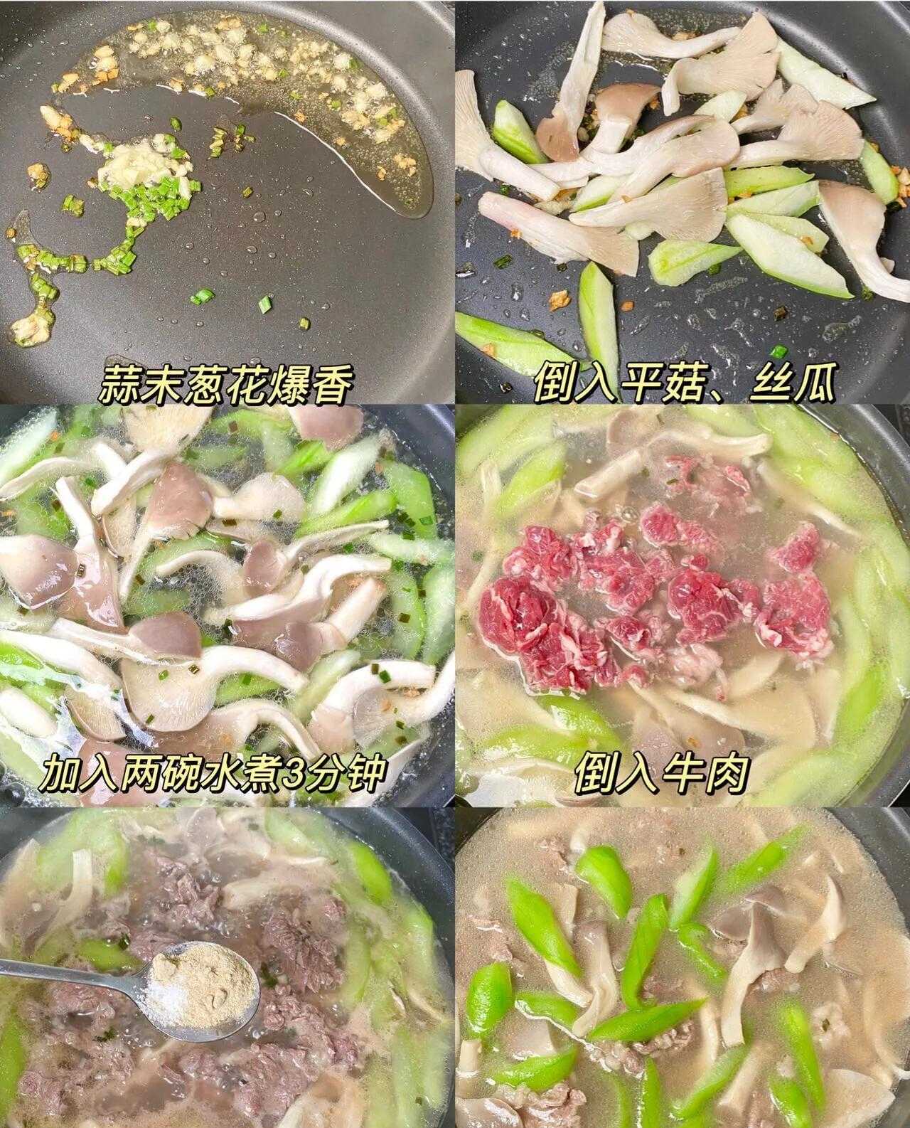 牛肉面的汤怎么做_牛肉汤_牛肉丸子萝卜丝汤的做法