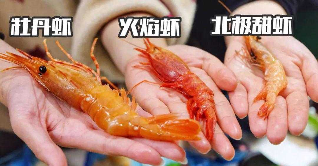 盛武肥牛海鲜豆捞加盟_捞海鲜图片_海鲜捞