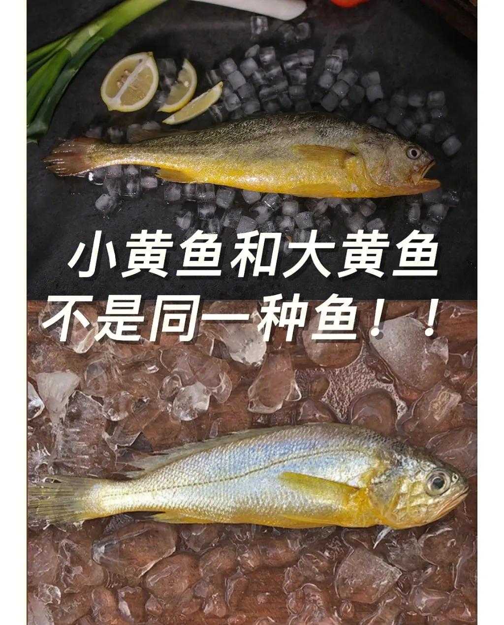 小黄鱼_黄鱼做法_黄鱼