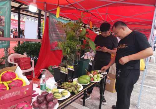 台湾小吃_台湾 小吃 加盟_想到台湾学习特色小吃