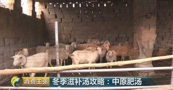 牛肉大骨汤_牛肉汤_牛肉金针菇汤的做法