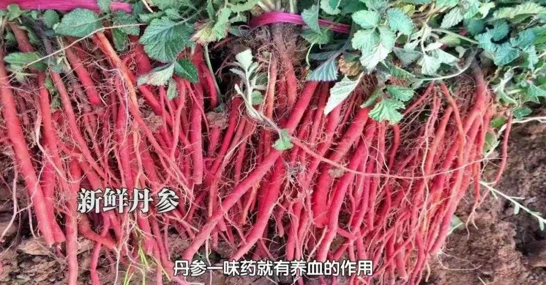 豆腐鱼_鮟鱇鱼炖豆腐_鱼豆腐