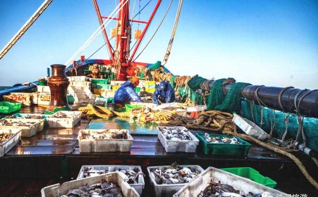 海鲜面_海鲜墨鱼汁面_电饭锅海鲜焖面