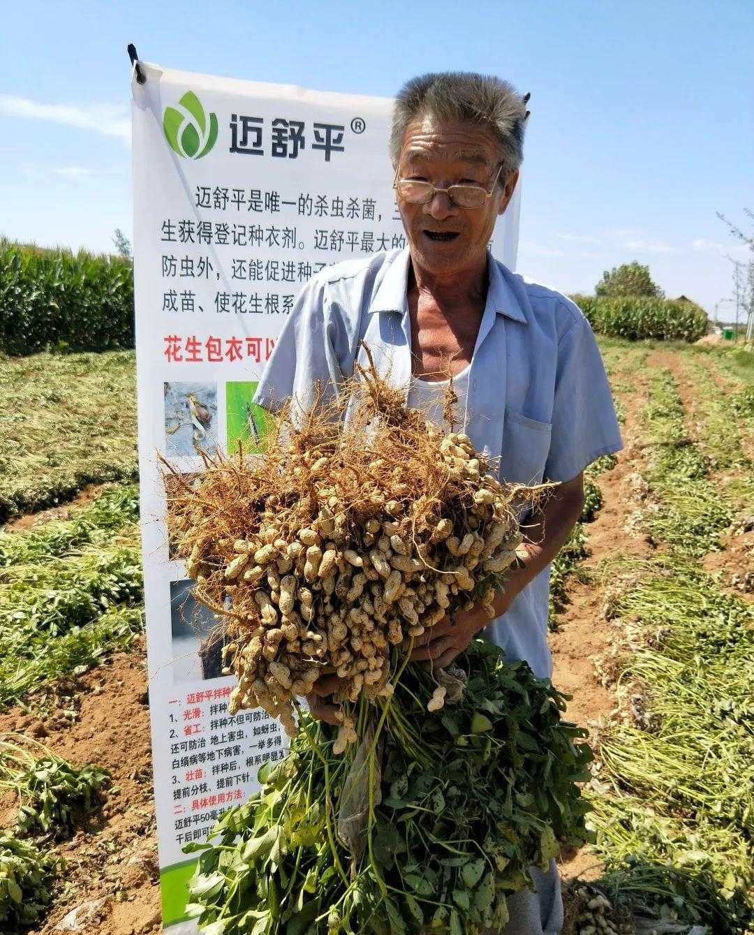 花生_黑色花生跟红花生_花生价格 花生米价格行情 花生