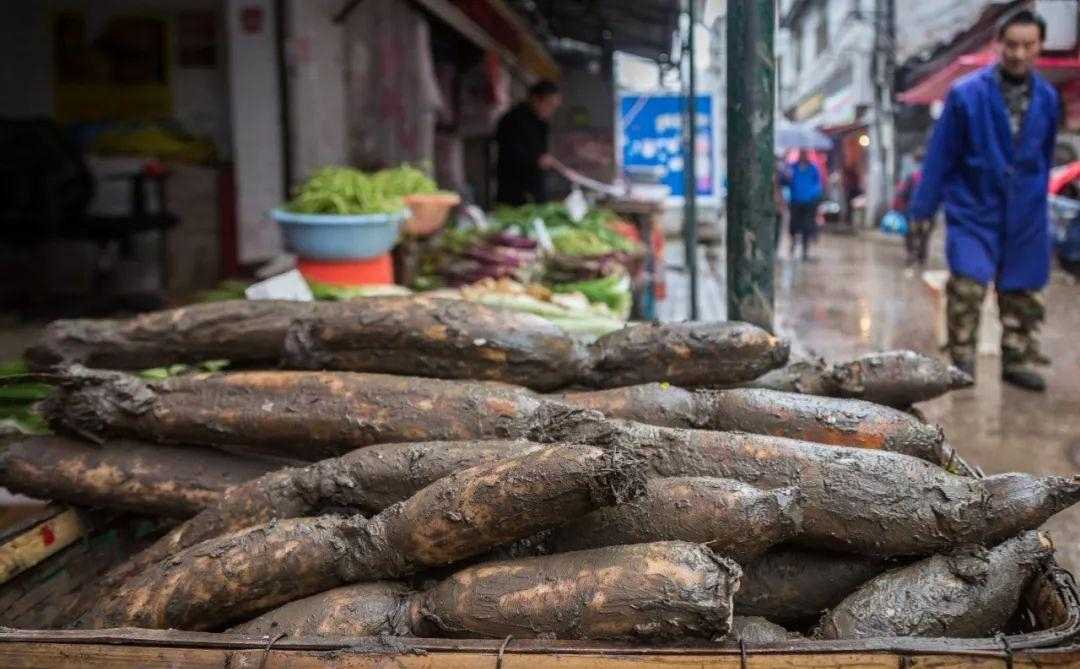 烧椒酱白卤羊肉、椒麻冷卤活海参、X0酱爆天贝