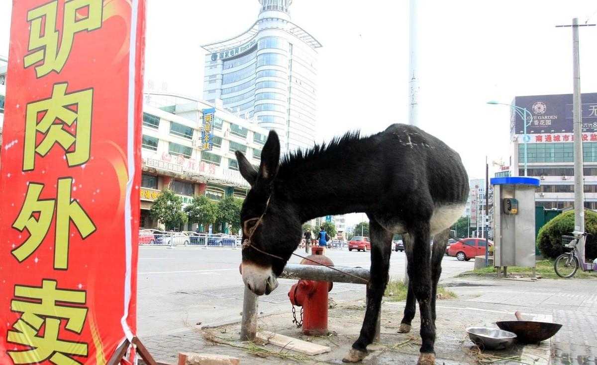 农村老话“天上龙肉，地上驴肉”，这个龙肉是什么肉，真有吗？